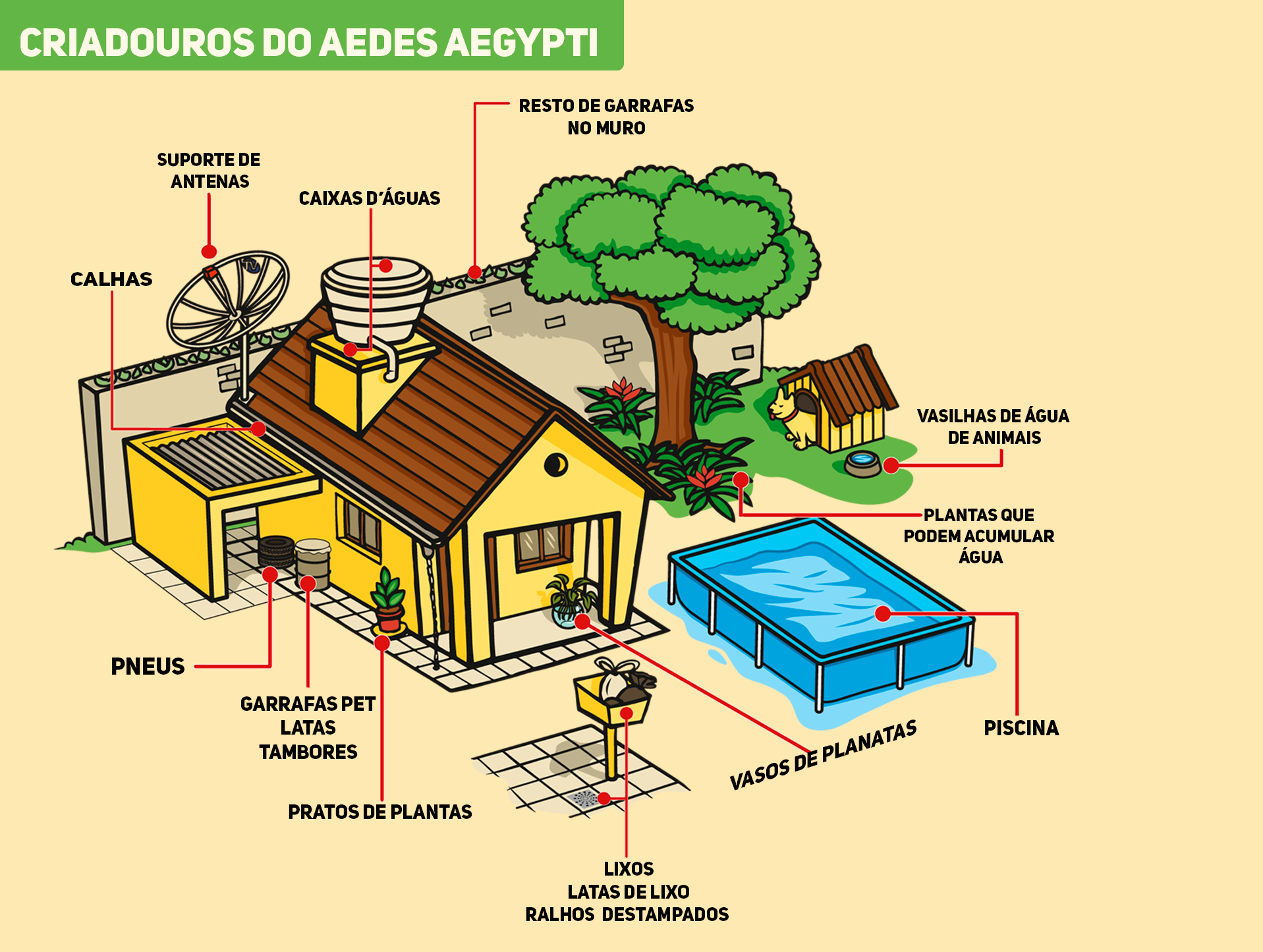 Confira aonde podem haver possíveis criadouros do mosquito
